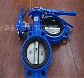d71x對夾軟密封蝶閥
